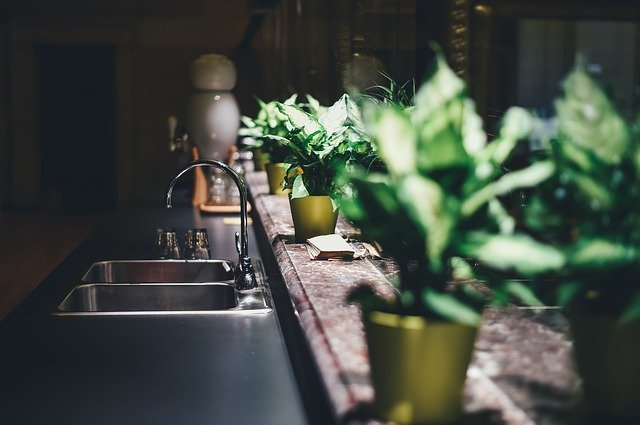Bring Nature Indoors With a Kitchen Garden