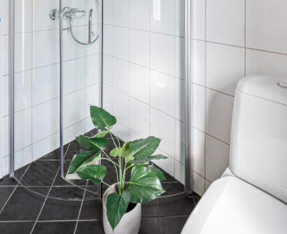 Bringing Nature Into The Bathroom in 2022